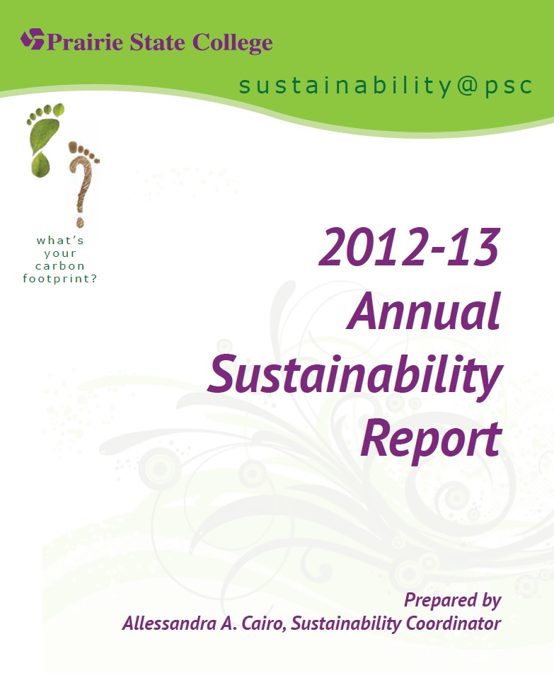 2013 annual sustainability report cover graphic