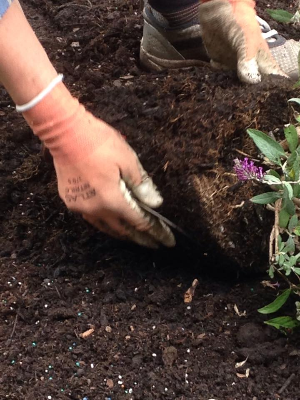 hands in dirt planting 