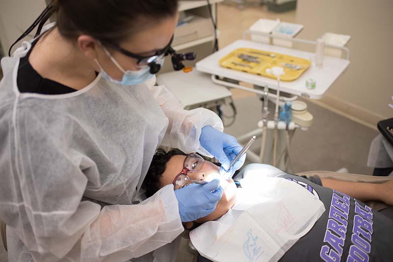 Student cleaning patient teeth
