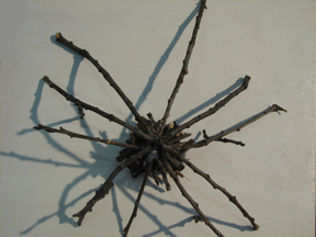 Spider Sticks