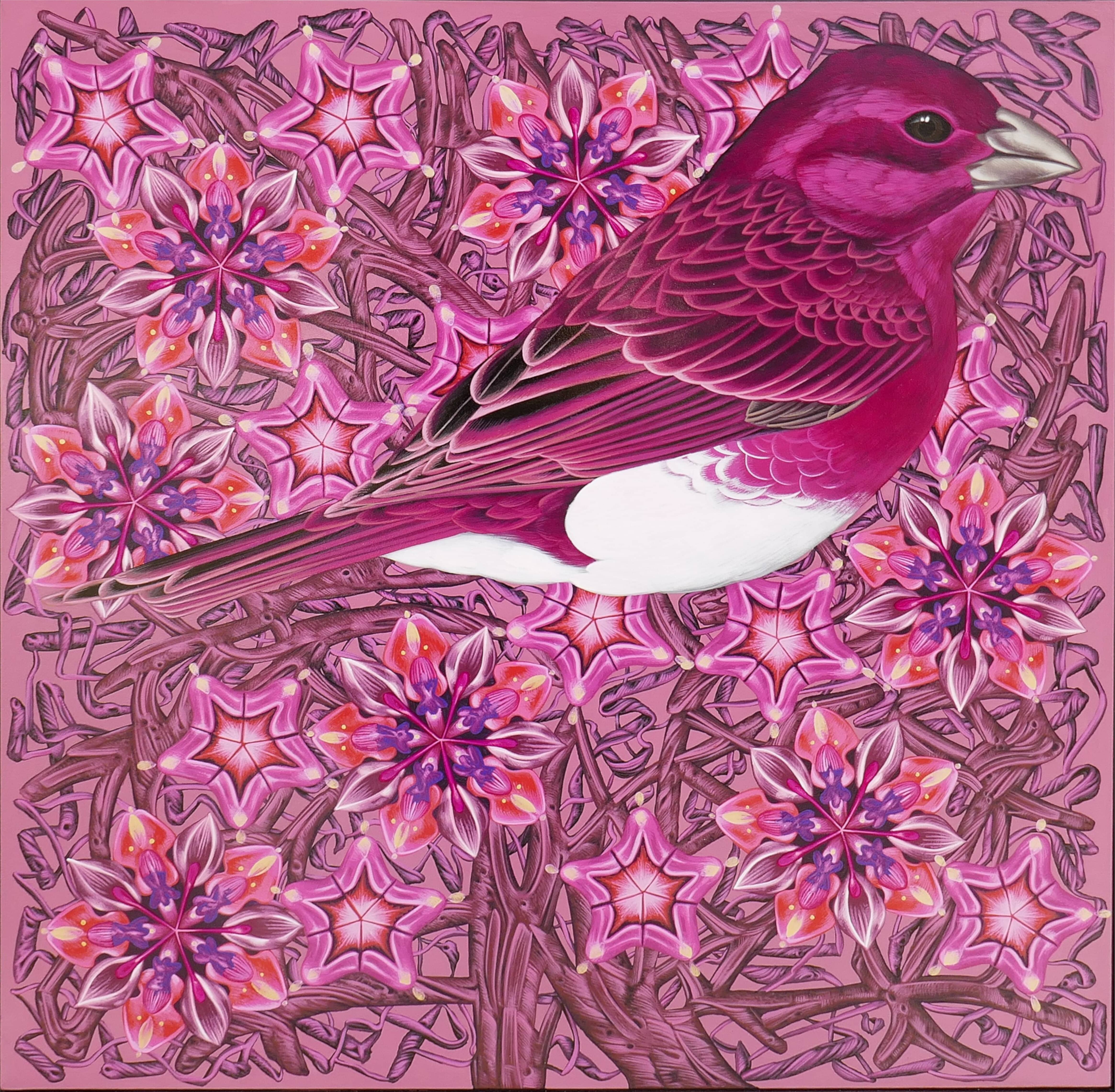 Exult 49 Purple Finch