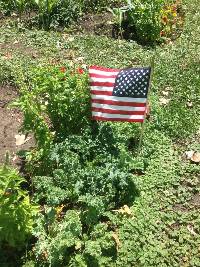 American Flag at garden